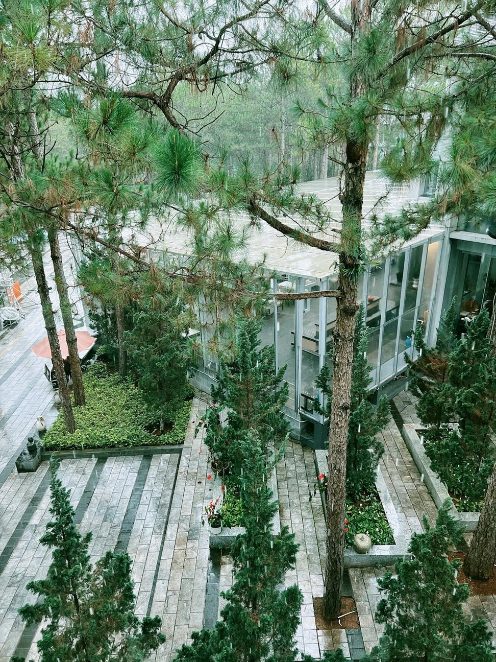 North Shore Forest House